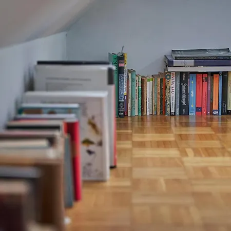 Matic Spacious Modern * 류블랴나