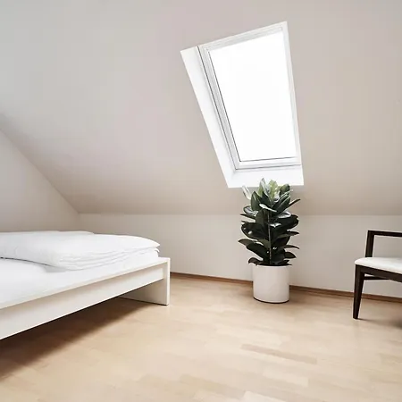 Matic Spacious Modern