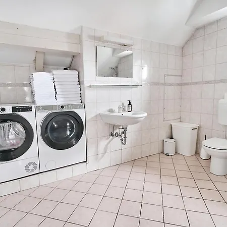 Matic Spacious Modern Daire Ljubljana